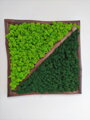 Dvoubarevný mechový obraz 62cm x 62cm