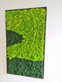 Machový obraz v čiernom ráme 135cm x 65cm 
