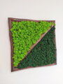 Dvoubarevný mechový obraz 62cm x 62cm