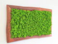 Machový obraz s masívnym dreveným rámom 50cm x 75cm 