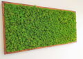 Machový obraz 60cm x 120cm 