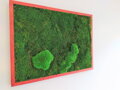 Machový obraz z plochého + kopčekového machu 70cm x 80cm