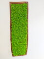 Machový obraz v masívnom drevenom ráme 170 cm x 50cm 