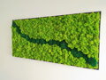 Machový obraz v čiernom ráme 57cm x 123cm 