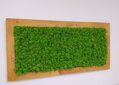 Machový obraz široký rám 60cm x 120cm 