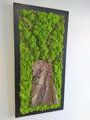 Lišejníkový obraz s přírodní kůrou 100cm x 45cm