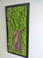 Lišejníkový obraz s přírodní kůrou 100cm x 45cm