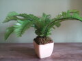 Umelá rastlina- Papraď 40 cm