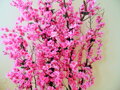 Zástena sakura 140 cm x 100 cm 