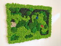 Machový panel- viacero druhov machu 110cm x 100cm 