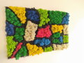 Pestrofarebný machový panel 100cm x 65cm