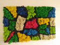 Pestrofarebný machový panel 100cm x 65cm