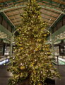 Vianočný stromček My Tree 400cm 