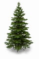 Smrek Alpský 3D- 200cm