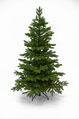 Smrek Alpský 3D- 170cm