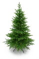 Smrek Beskydský 100% 3D- 225cm 
