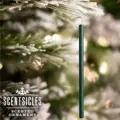 Vonné tyčinky na stromček- White Winter Fir- 6ks