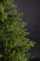 Smrek premium 100% 3D- 200cm