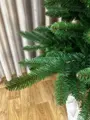Jedľa Karpatská na pni 190cm