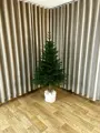 Smrek Prestige na pni 100% 3D- 185cm 
