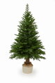 Smrek Prestige na pni 100% 3D- 210cm 