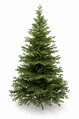 Smrek Tirolský 3D- 200cm 