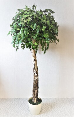 Umelý strom- Breza guľatá 200 cm 
