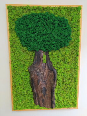 Machový obraz- strom 110cm x 55cm 
