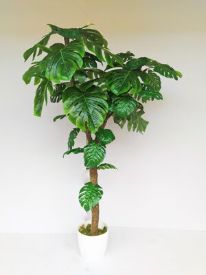 Umelá rastlina- Monstera 160cm 