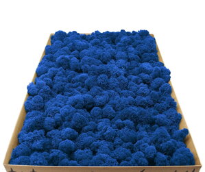 Stabilizovaný fínsky (sobí) mach 1kg- modrý
