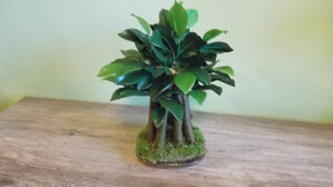 Umelý bonsaj fikus 30cm