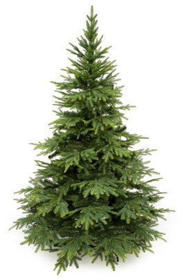 Umělý vánoční stromek- Smrk kavkazský 220cm 
