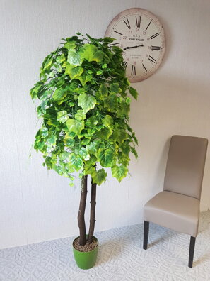 Hrozno zelené 200 cm 