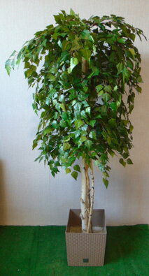 Umelý strom- Breza 180 cm