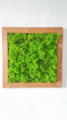 Machový obraz v drevenom ráme 50cm x 50cm 