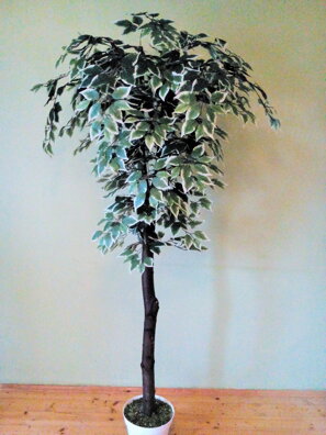 Umelý strom- Fikus panašovaný atyp 200cm
