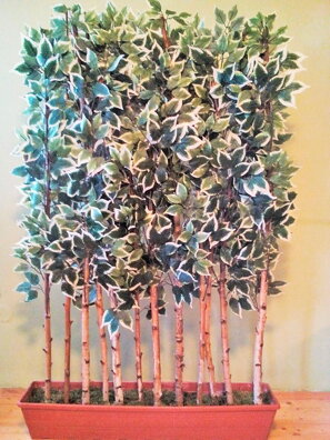 Dekoračná zástena fikus 160 cm x 100 cm