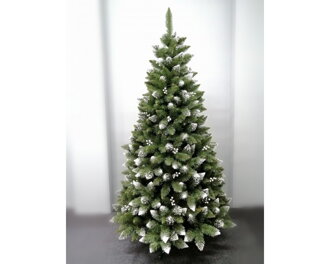 Vánoční stromček- Borovice Iza 240cm