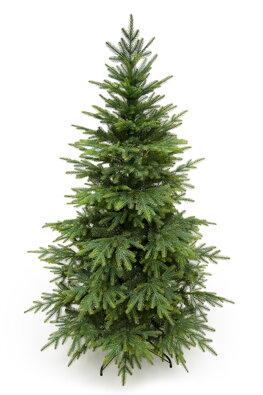 Smrek Kaukazský 3D- 190cm