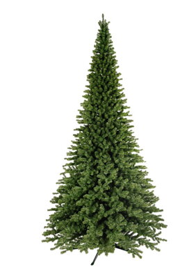 Vánoční stromek Verona 300cm