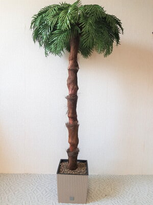 Umělá palma- tmavá s kůrou 160 cm