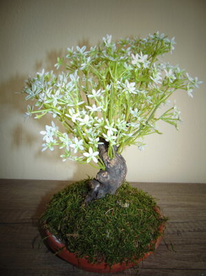 Umelý bonsaj- Baza biela 30 cm
