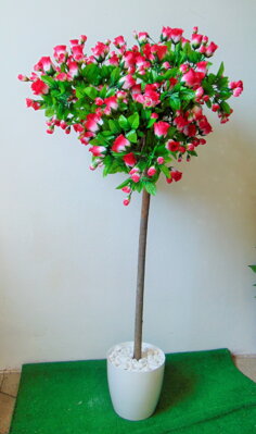 Kvitnúci strom- ruža 150cm