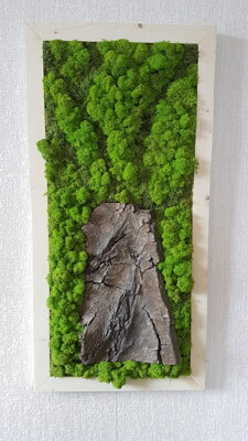 Mechový obraz s přírodní kůrou 100cm x 30cm
