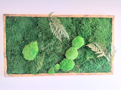 Mechový obraz- lesní mech s kapradím 50cm x 90cm