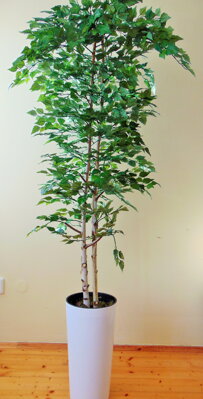 Umělý strom- Bříza 205 cm 
