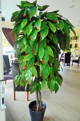 Umelý strom- Mango 160cm