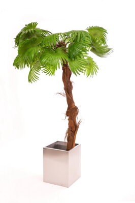 Umelá Washingtonská palma 220cm
