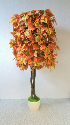 Hrozno jesenné klasik 160 cm 