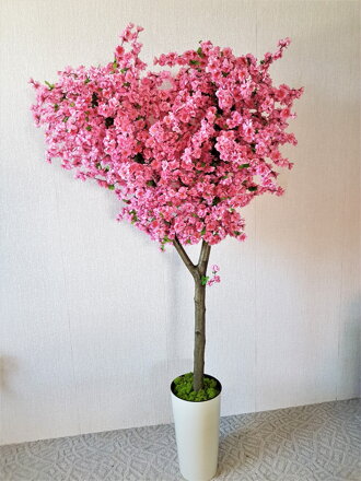 Kvitnúci strom- sakura 200cm 